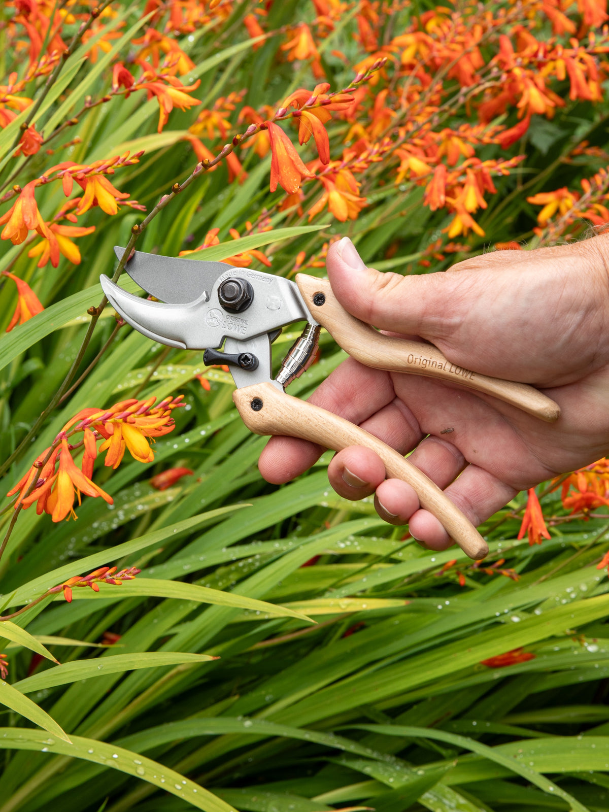 Original LÖWE-natural 9.107 Professional Bypass Secateurs