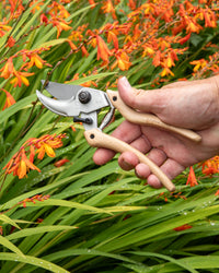 Original LÖWE-natural 9.107 Professional Bypass Secateurs