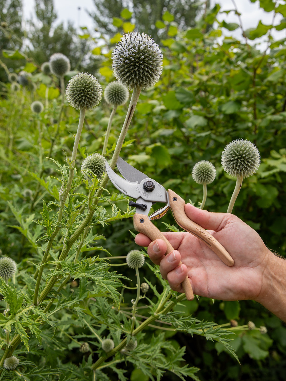 Original LÖWE-natural 9.107 Professional Bypass Secateurs