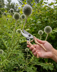 Original LÖWE-natural 9.107 Professional Bypass Secateurs