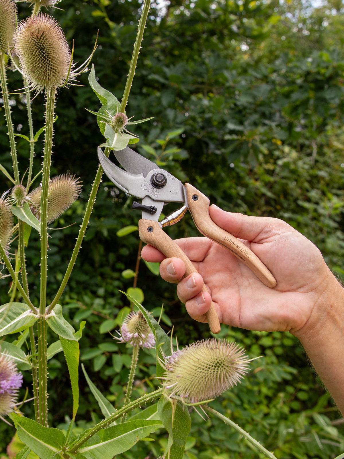 Original LÖWE-natural 9.107 Professional Bypass Secateurs
