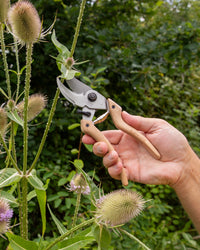 Original LÖWE-natural 9.107 Professional Bypass Secateurs