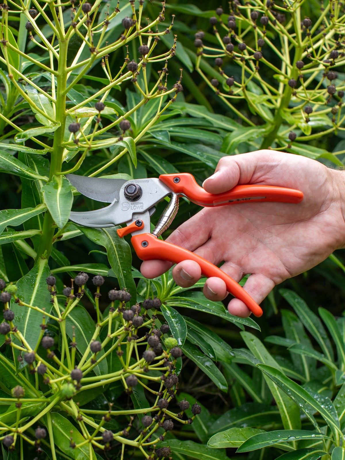 Original LÖWE 9.107 Professional Bypass Secateurs