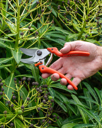 Original LÖWE 9.107 Professional Bypass Secateurs