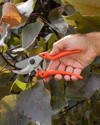 Original LÖWE 9.107 Professional Bypass Secateurs