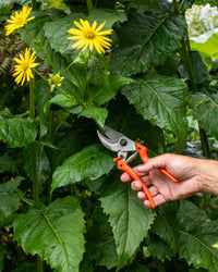 Original LÖWE 9.107 Professional Bypass Secateurs