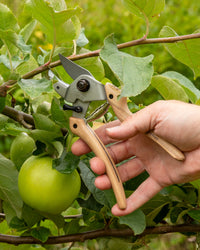 Original LÖWE-natural 7.107 Professional Anvil Secateurs