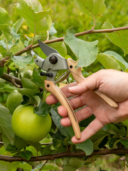 Original LÖWE-natural 7.107 Professional Anvil Secateurs