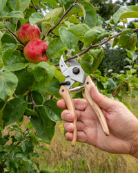 Original LÖWE-natural 7.107 Professional Anvil Secateurs