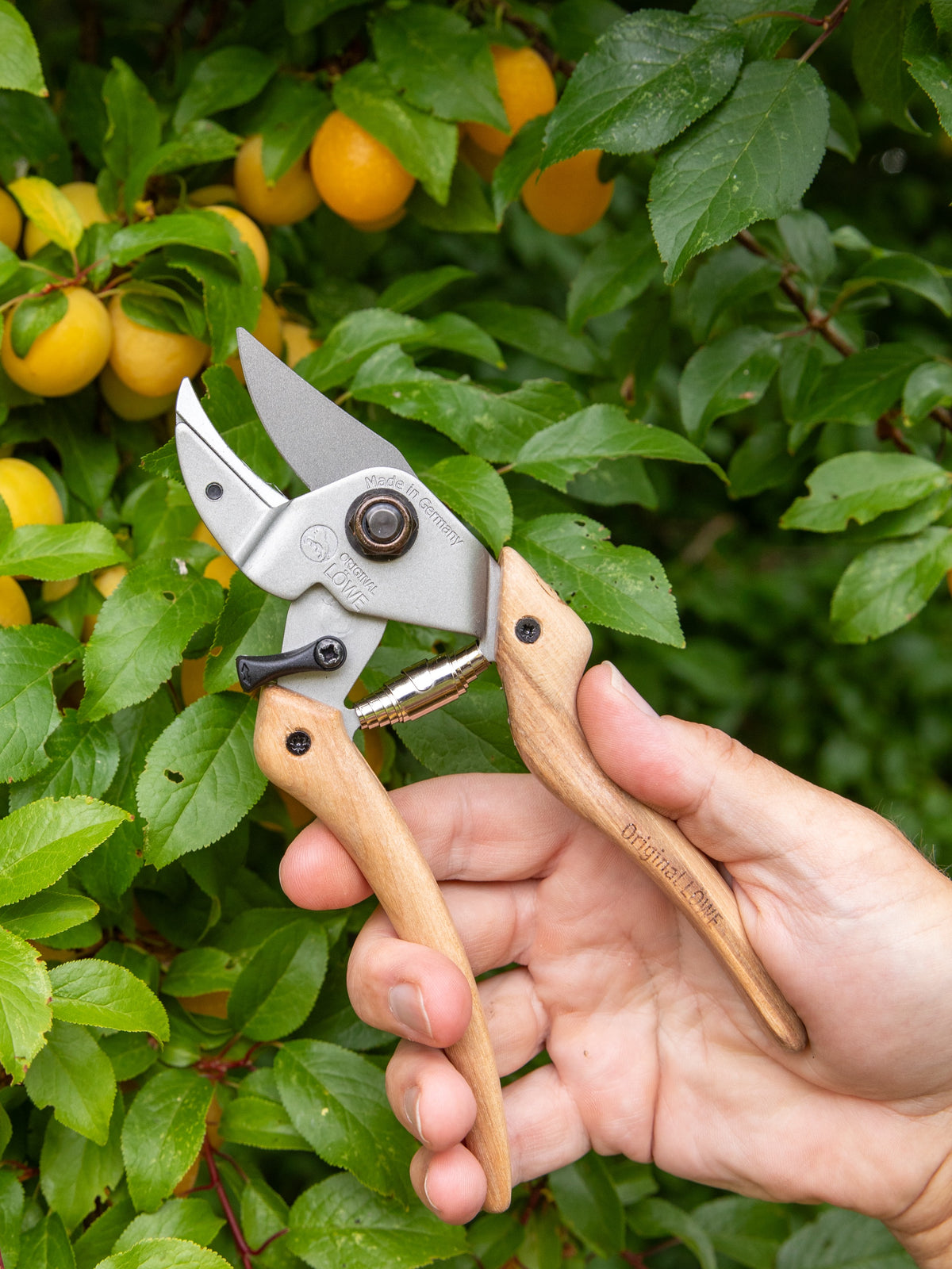 Original LÖWE-natural 7.107 Professional Anvil Secateurs