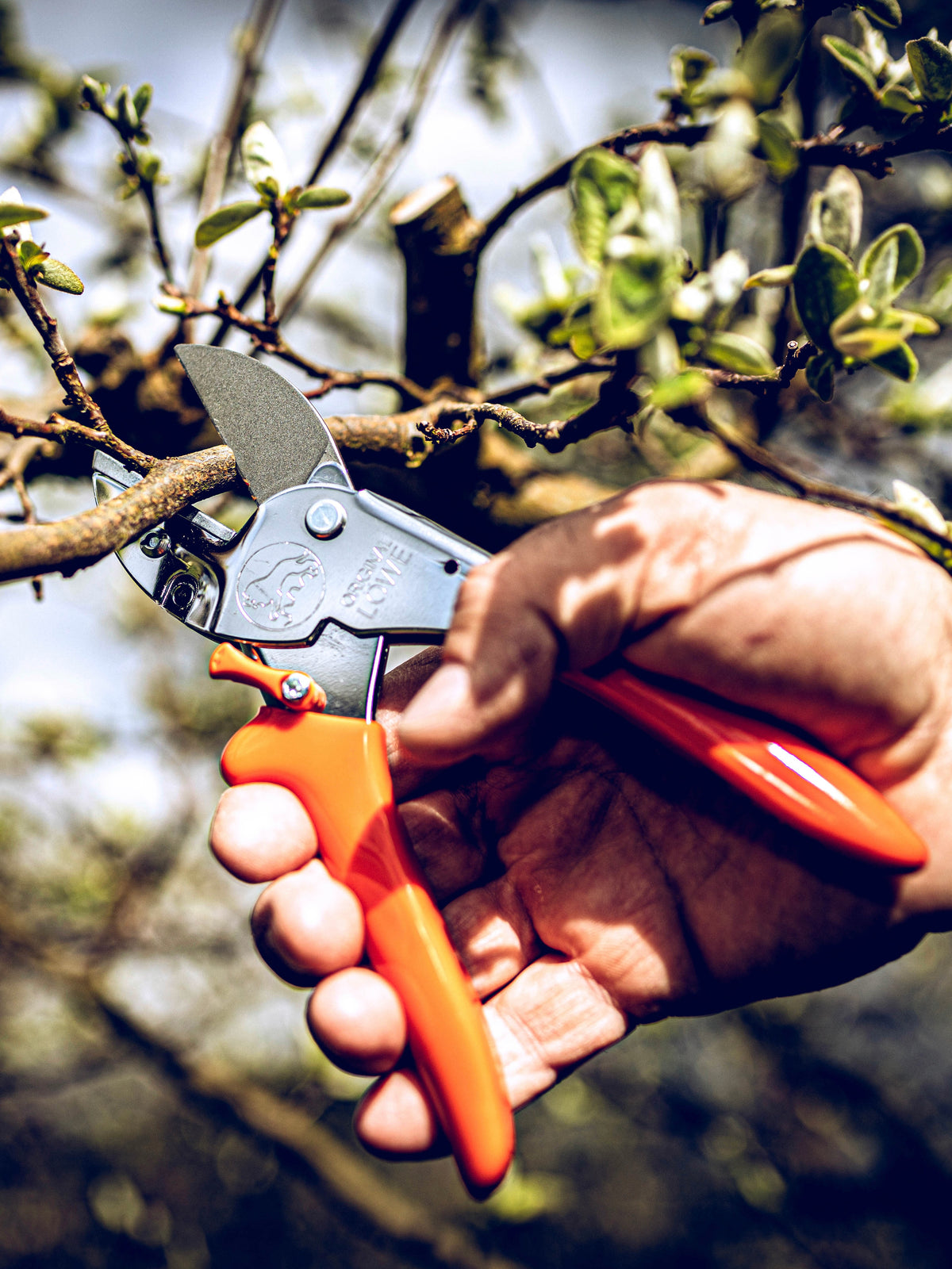 Original LÖWE 1.104, The Original Anvil Secateurs