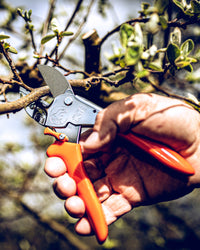 Original LÖWE 1.104, The Original Anvil Secateurs