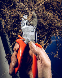 Original LÖWE 1.104, The Original Anvil Secateurs