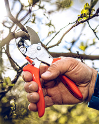 Original LÖWE 1.104, The Original Anvil Secateurs