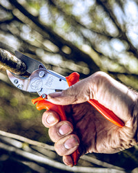 Original LÖWE 10.107, The Original Anvil Secateurs