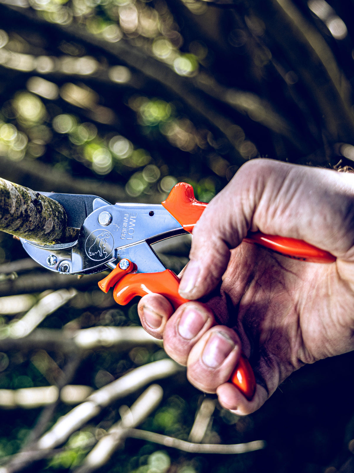 Original LÖWE 10.107, The Original Anvil Secateurs