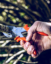 Original LÖWE 10.107, The Original Anvil Secateurs