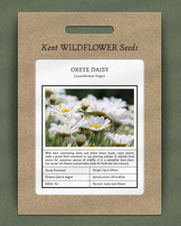 Kent Wildflower Seeds - Oxeye Daisy (Leucanthemum vulgare)