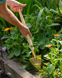 PKS Bronze 'Carina' Solid Bronze Perennial Spade