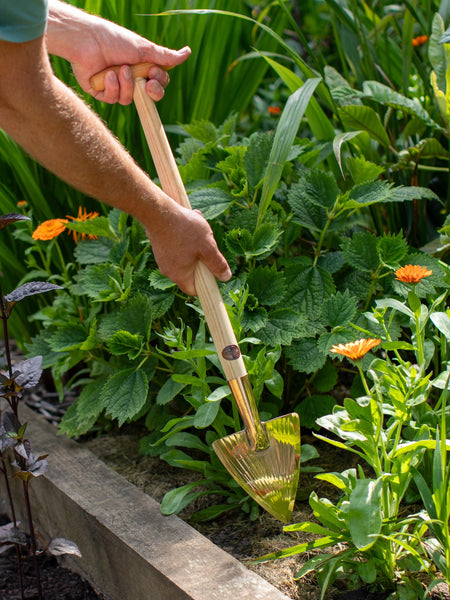 PKS Bronze 'Carina' Solid Bronze Perennial Spade