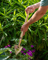 PKS Bronze 'Carina' Solid Bronze Perennial Spade