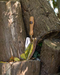 PKS Bronze 'Castor' Solid Bronze Hand Trowel