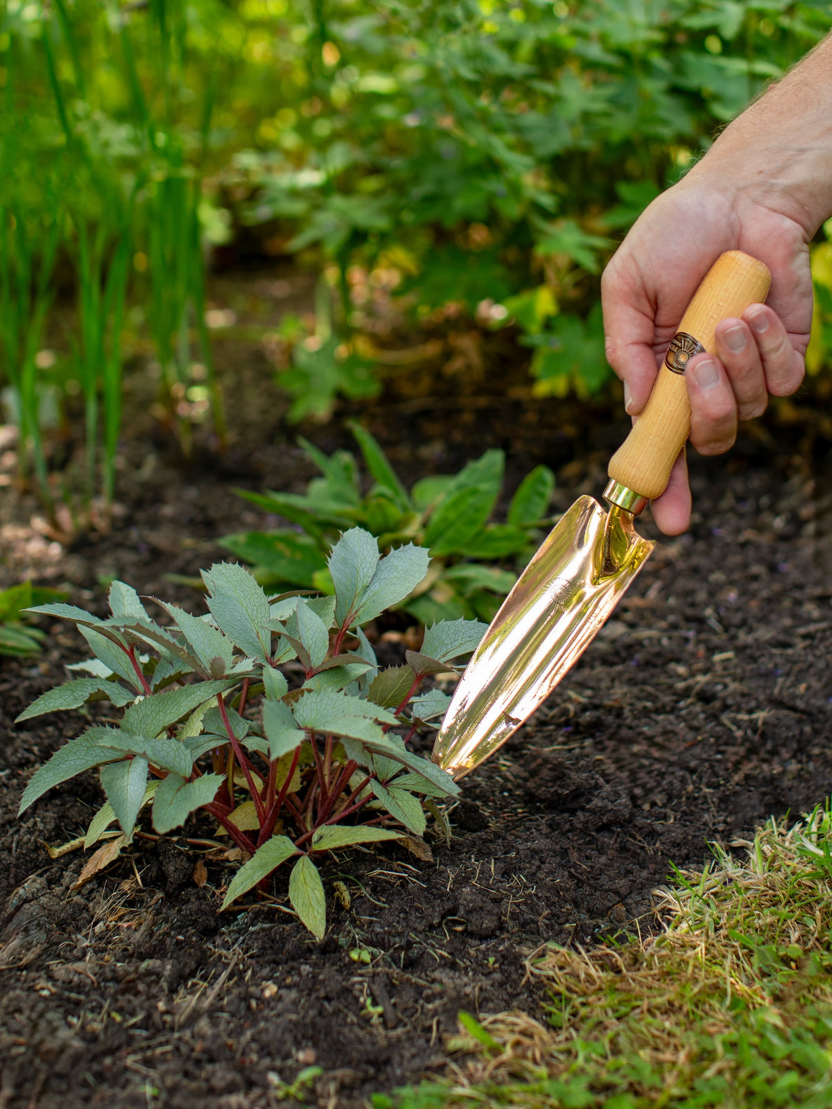PKS Bronze 'Mira' Solid Bronze Hand Trowel