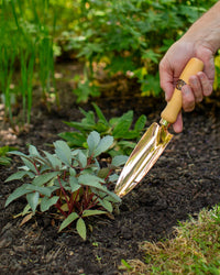 PKS Bronze 'Mira' Solid Bronze Hand Trowel