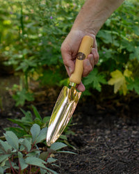 PKS Bronze 'Mira' Solid Bronze Hand Trowel