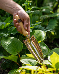 Hand holding a solid bronze garden trowel among hostas