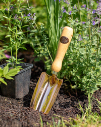 PKS Bronze 'Musca' Solid Bronze Hand Trowel