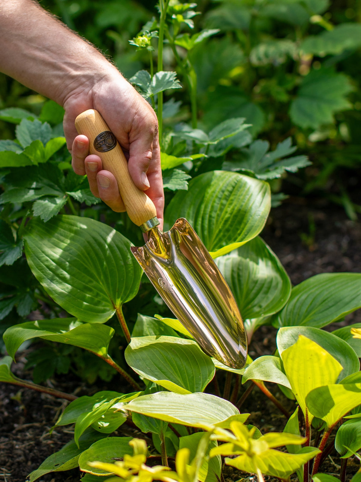 PKS Bronze 'Musca' Solid Bronze Hand Trowel