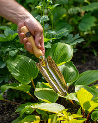 PKS Bronze 'Musca' Solid Bronze Hand Trowel