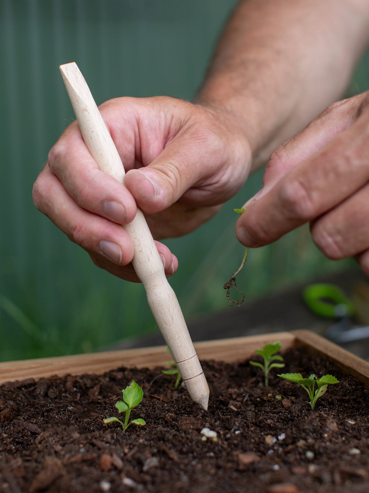 Redecker Pricking Out Tool