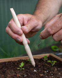 Redecker Pricking Out Tool