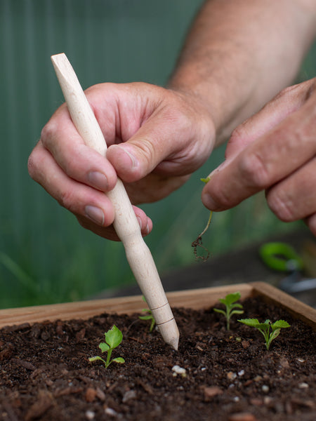 Redecker Pricking Out Tool