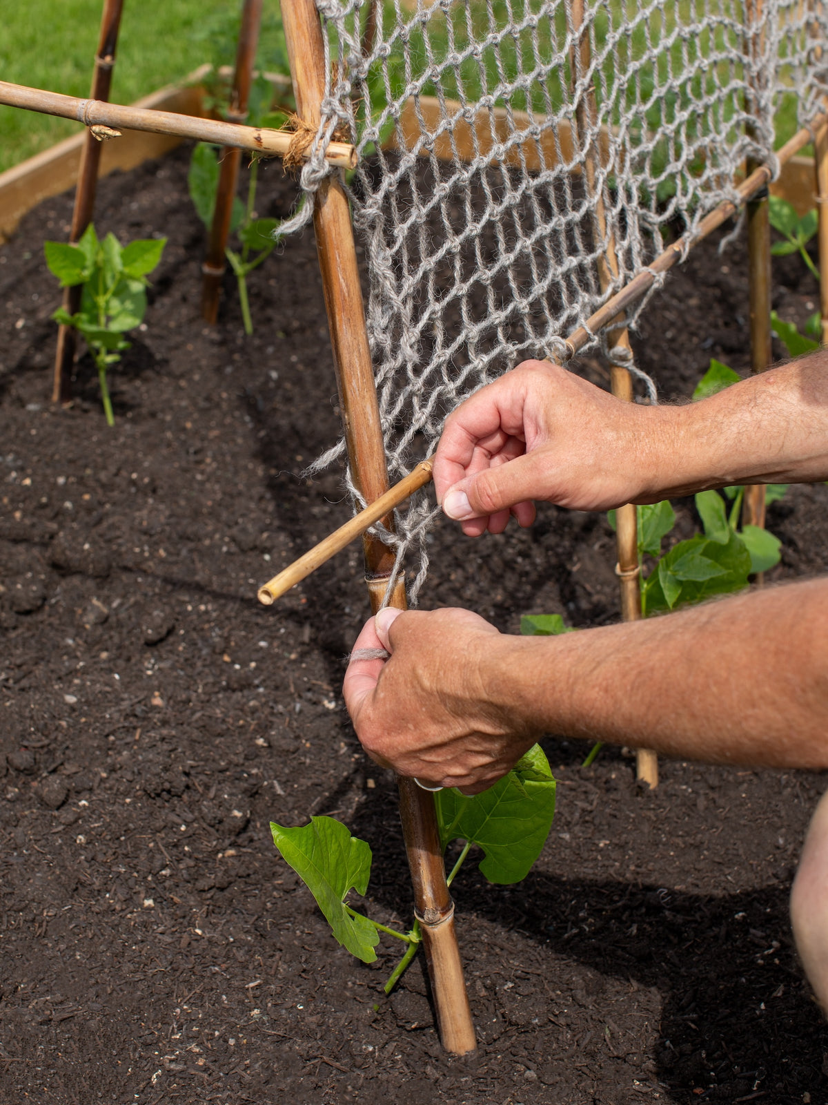 Twool Sustainable Wool Garden Netting