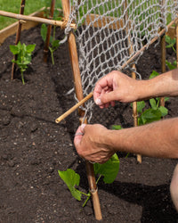 Twool Sustainable Wool Garden Netting