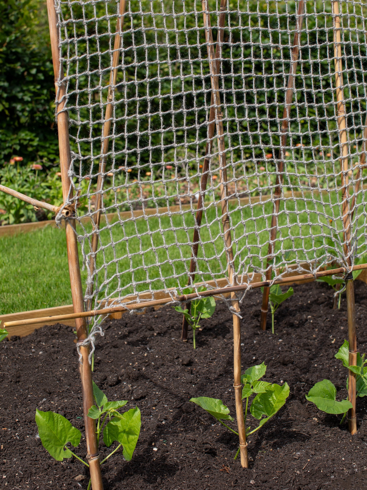 Twool Sustainable Wool Garden Netting