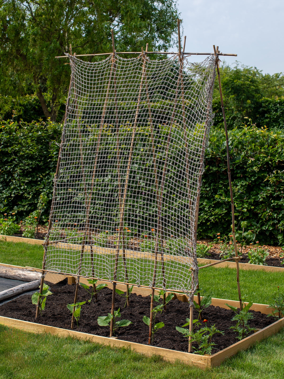 Twool Sustainable Wool Garden Netting