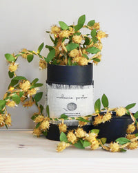 Melanie Porter Gold Pompom Fairy Lights