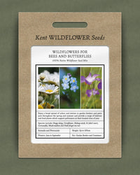 Kent Wildflower Seeds - Pollinator Mix for Bees & Butterflies