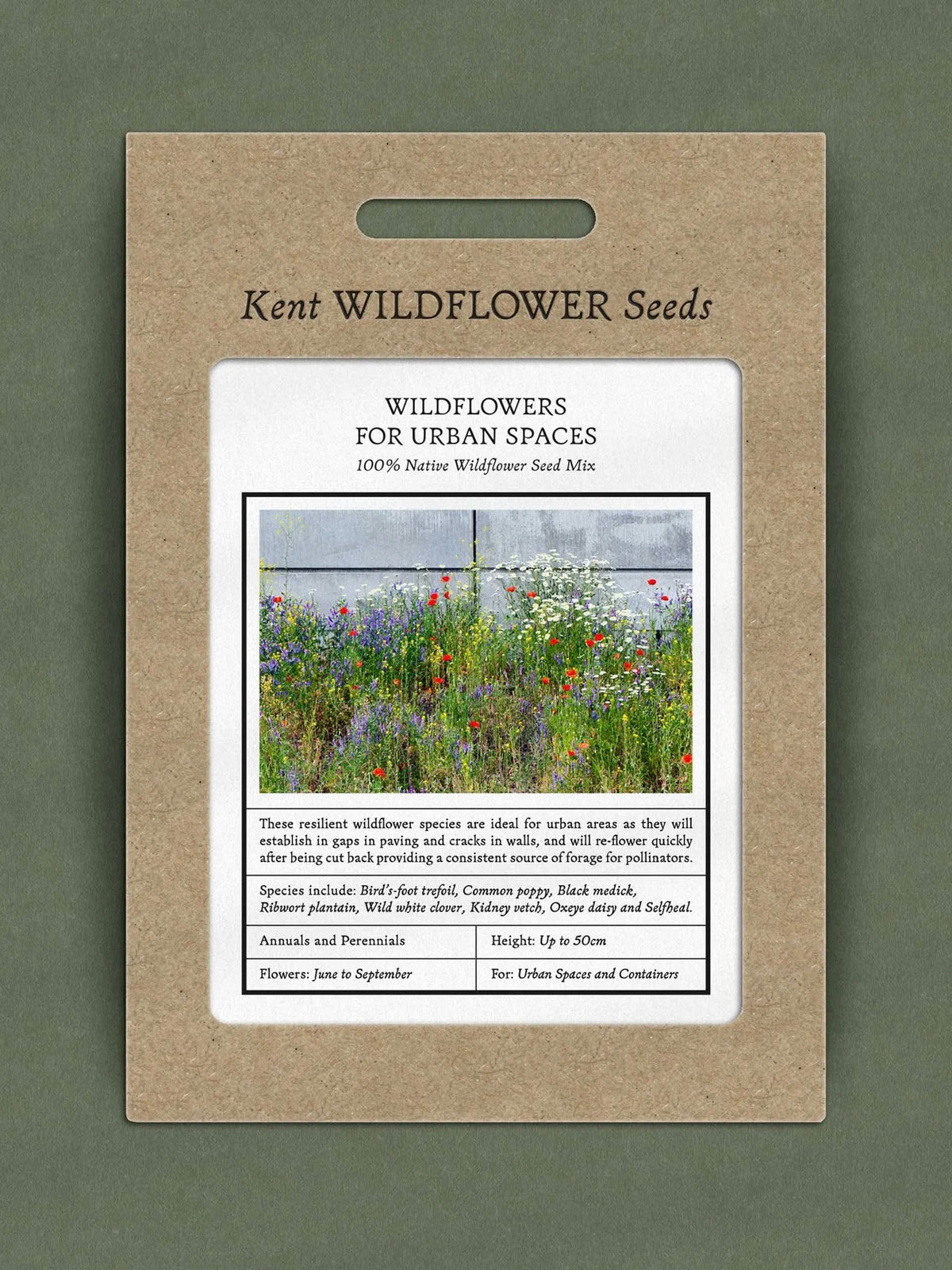 Kent Wildflower Seeds - Wildflowers for Urban Spaces