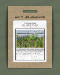 Kent Wildflower Seeds - Wildflowers for Urban Spaces