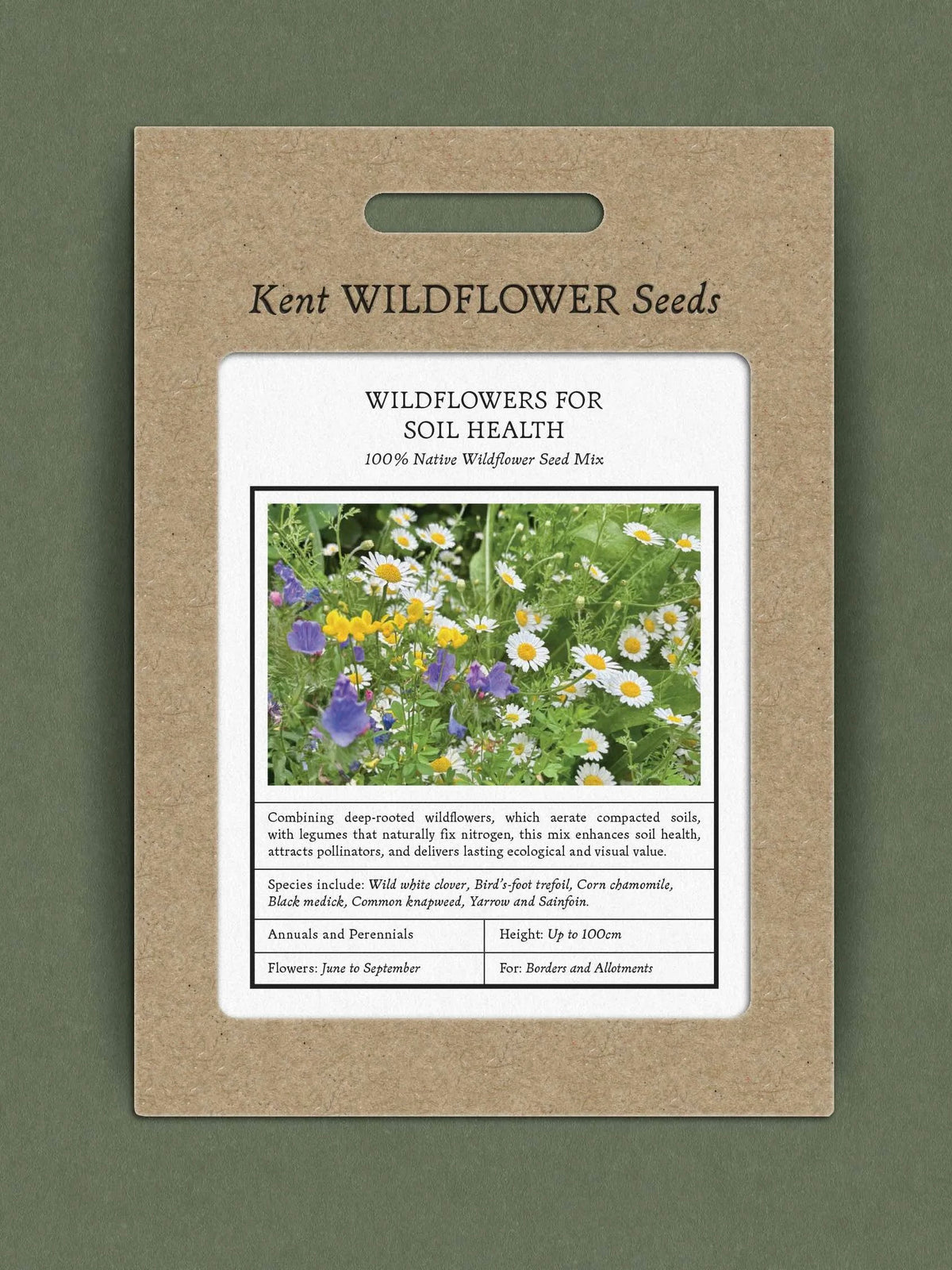 Kent Wildflower Seeds - Wildflowers for Soil Health
