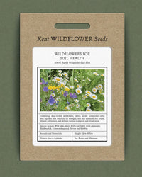 Kent Wildflower Seeds - Wildflowers for Soil Health