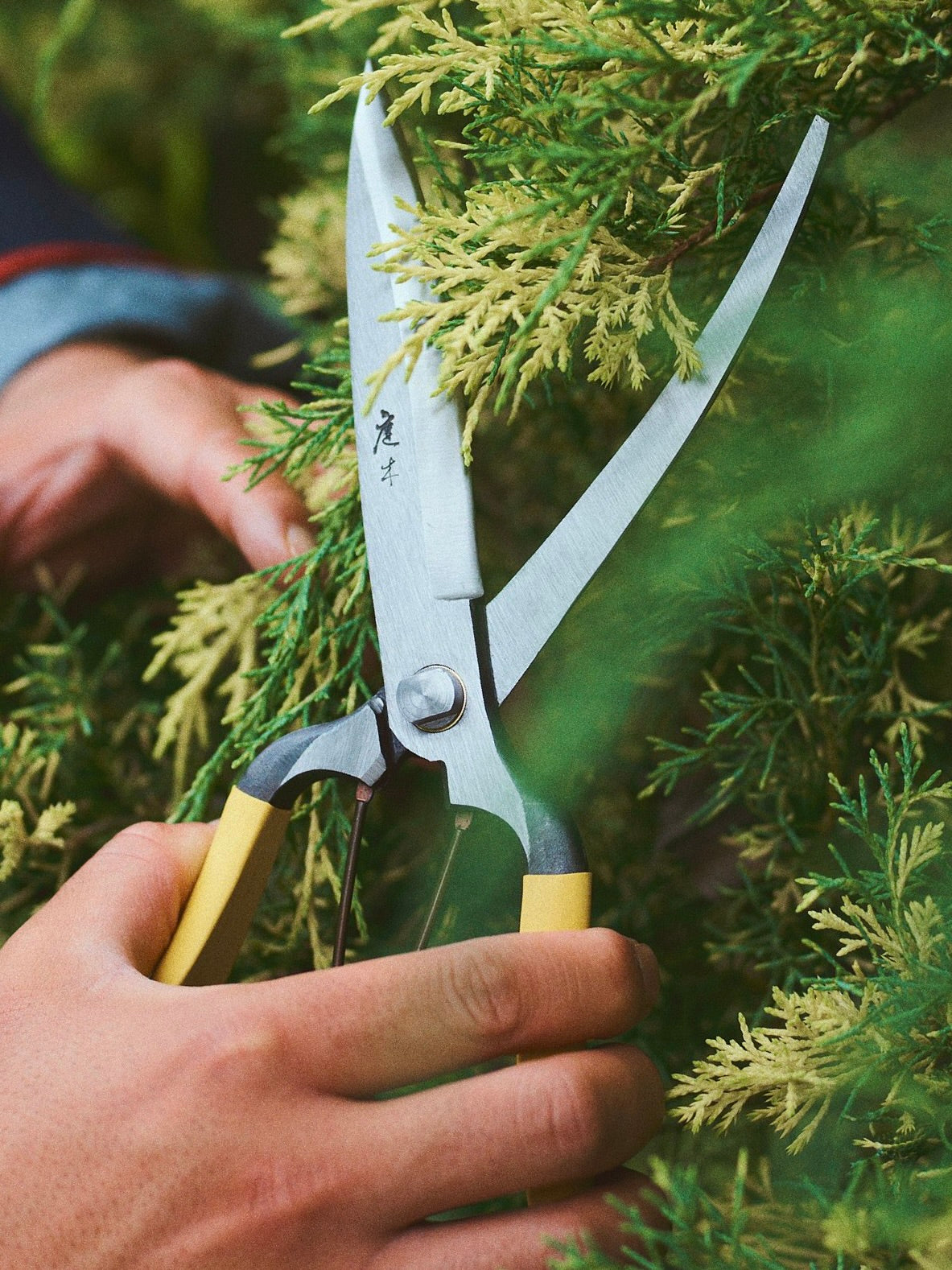 Niwaki GR Pro Barracuda Clippers