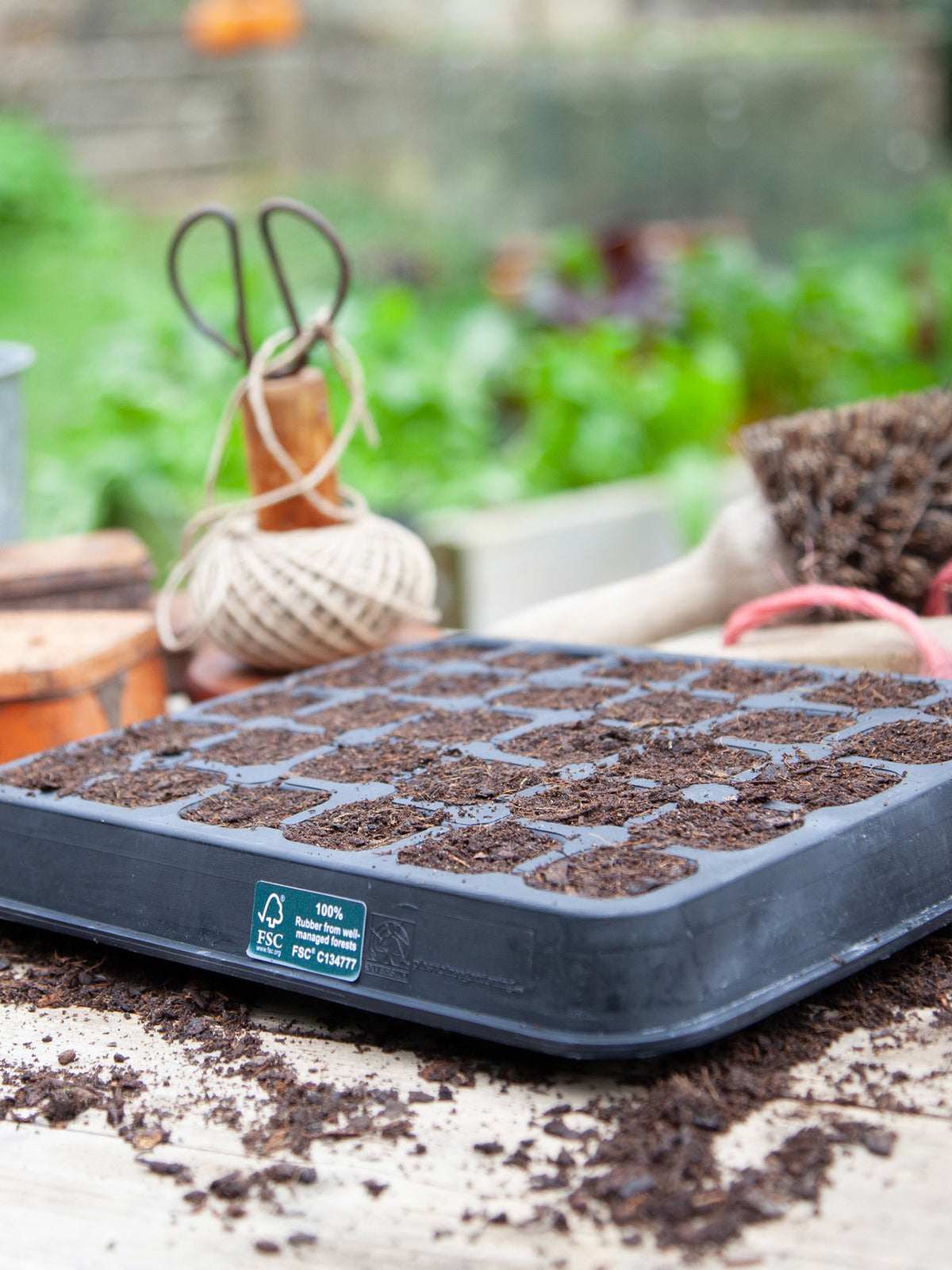 plant tycoon virtual seed tray Natural Rubber Seed Tray, 30 Cells – Dan Cooper Garden