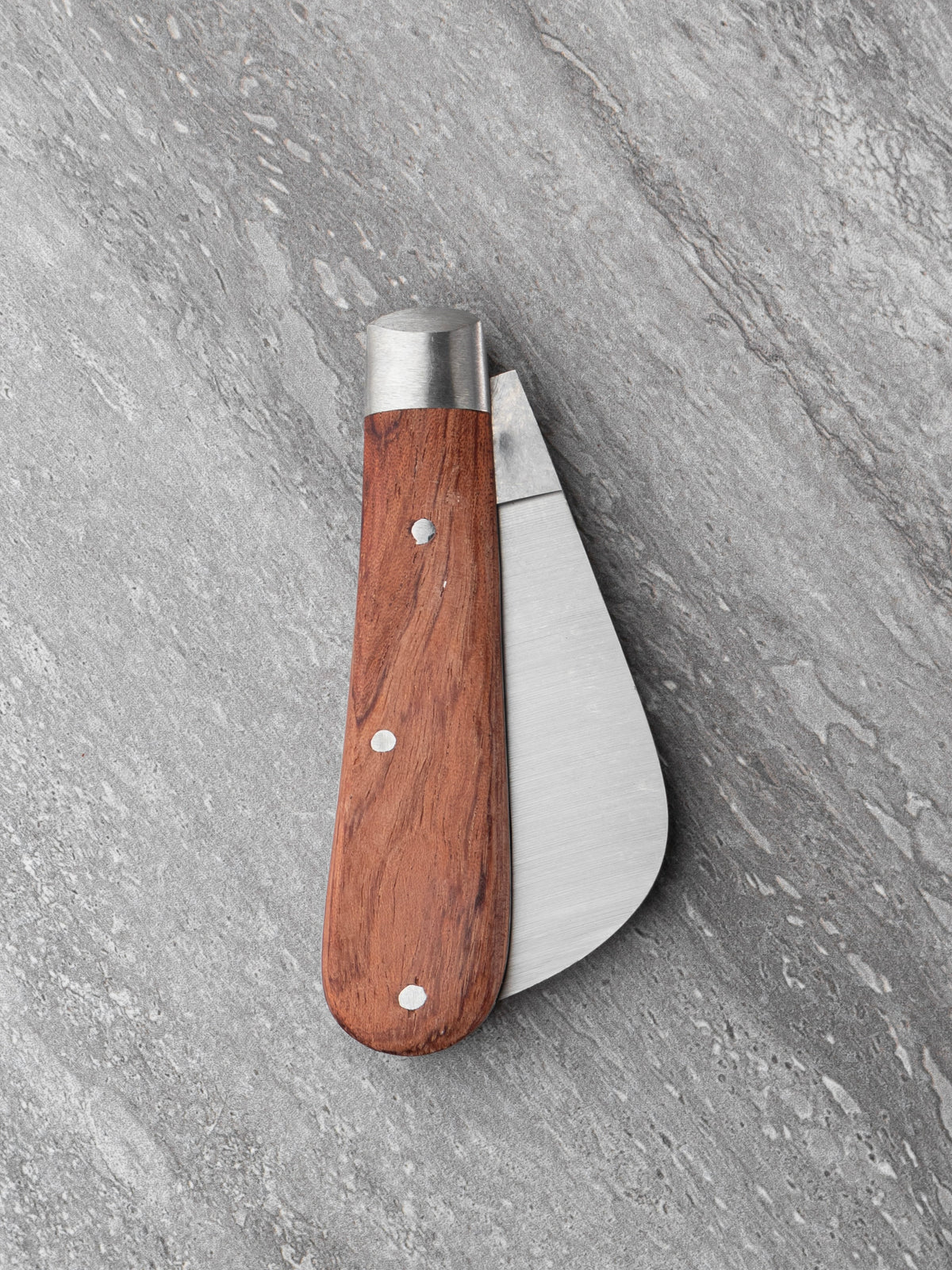 Taylor's Eye Witness 5.5cm Full Pruner