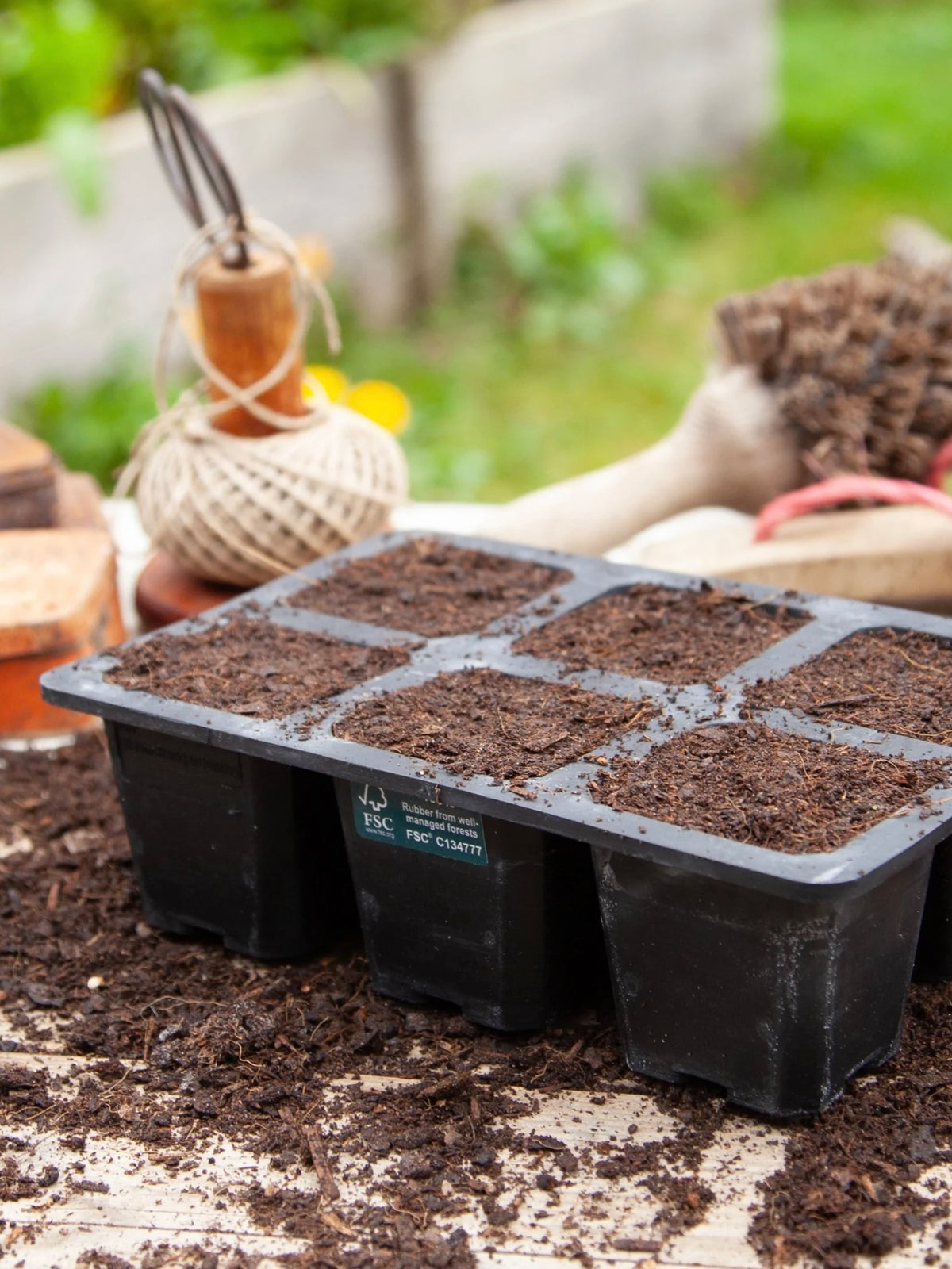 Natural Rubber Seed Tray, 6 Large Cells